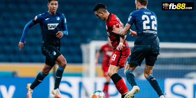 Chuyên gia FB88 nhận định Frankfurt vs Hoffenheim