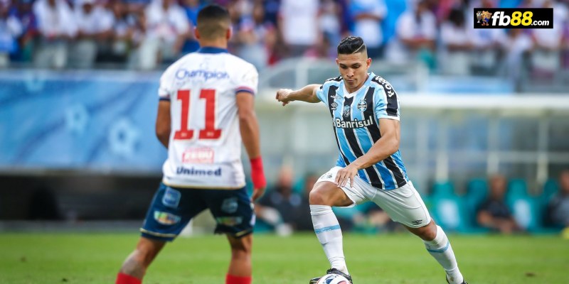 Chuyên gia FB88 nhận định Gremio vs Fluminense