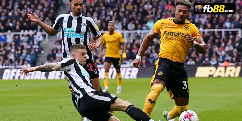 Chuyên gia FB88 nhận định Wolves vs Newcastle United