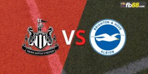 Soi kèo Newcastle vs Brighton Hove Albion 21h ngày 19/10/24